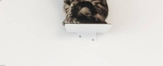 ljCuj